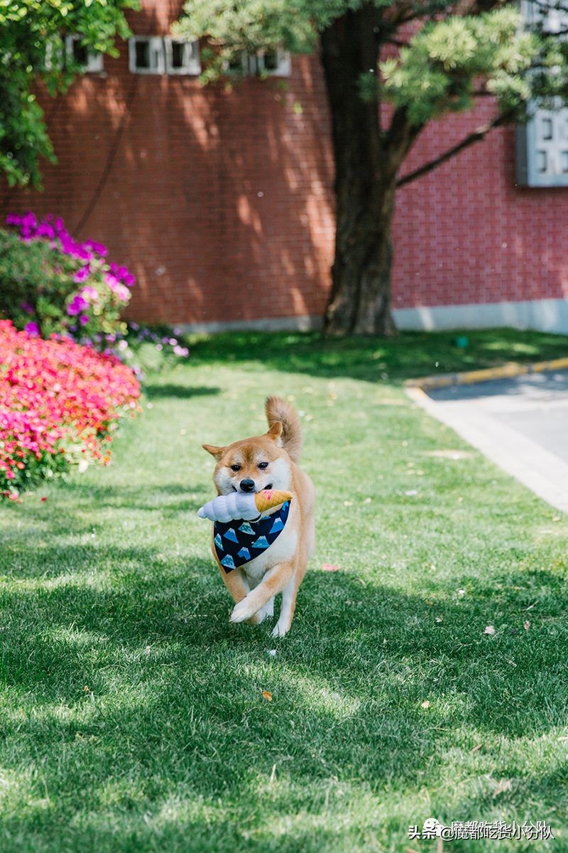 高考择校tips,高考择校指导985211