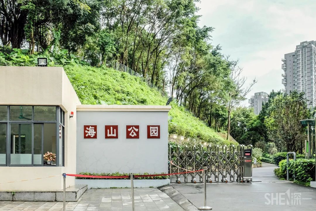 疫情期间免费开放的公园,疫情期间开放的公园有哪些