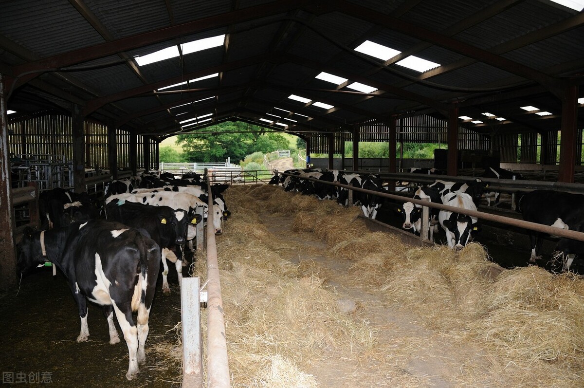 2020江苏省徐州重大项目,2024年江苏徐州重大项目清单