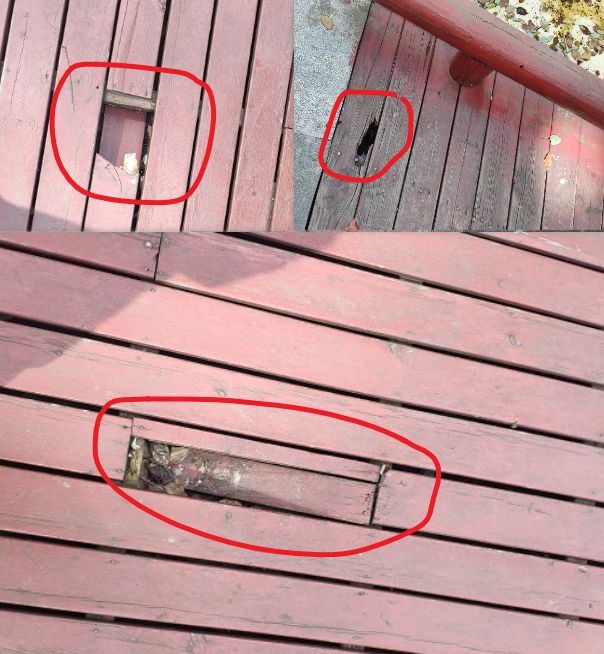 忍不了！房价低于周边1万/㎡！河西一小区要换万科物业