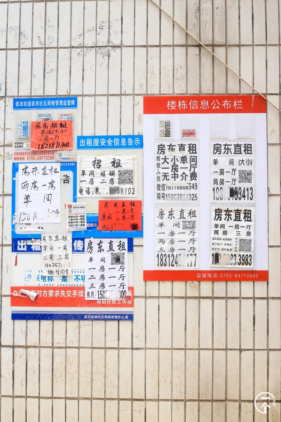 遍地华为男，深圳坂田有多绝？