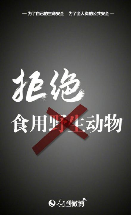 不知情情况下吃了野生动物违法吗,禁吃野生动物法规
