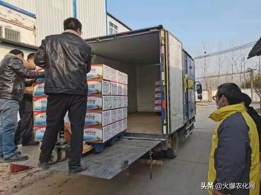 跳甲打甲,跳甲上午打还是晚上打好