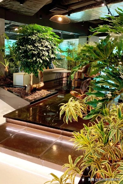 一家红圈律所的极致“凡尔赛”