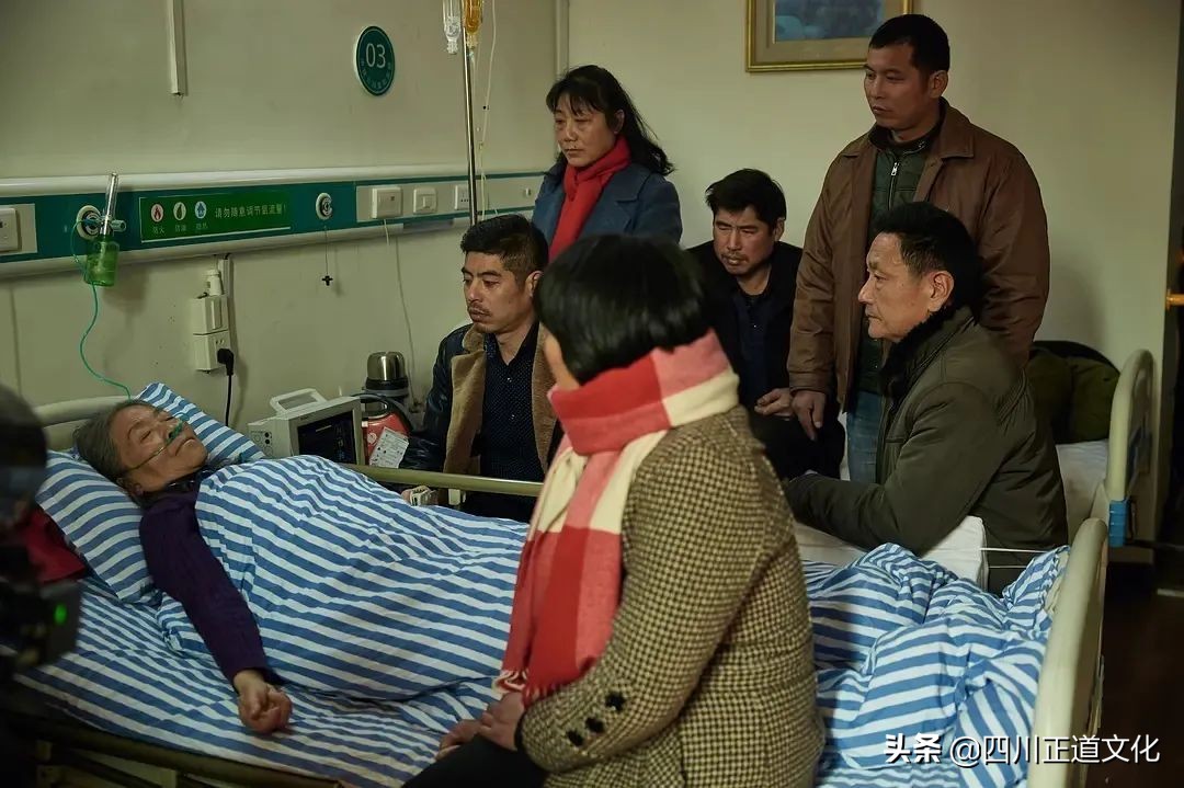 值得看的电影春天,春天的电影名字