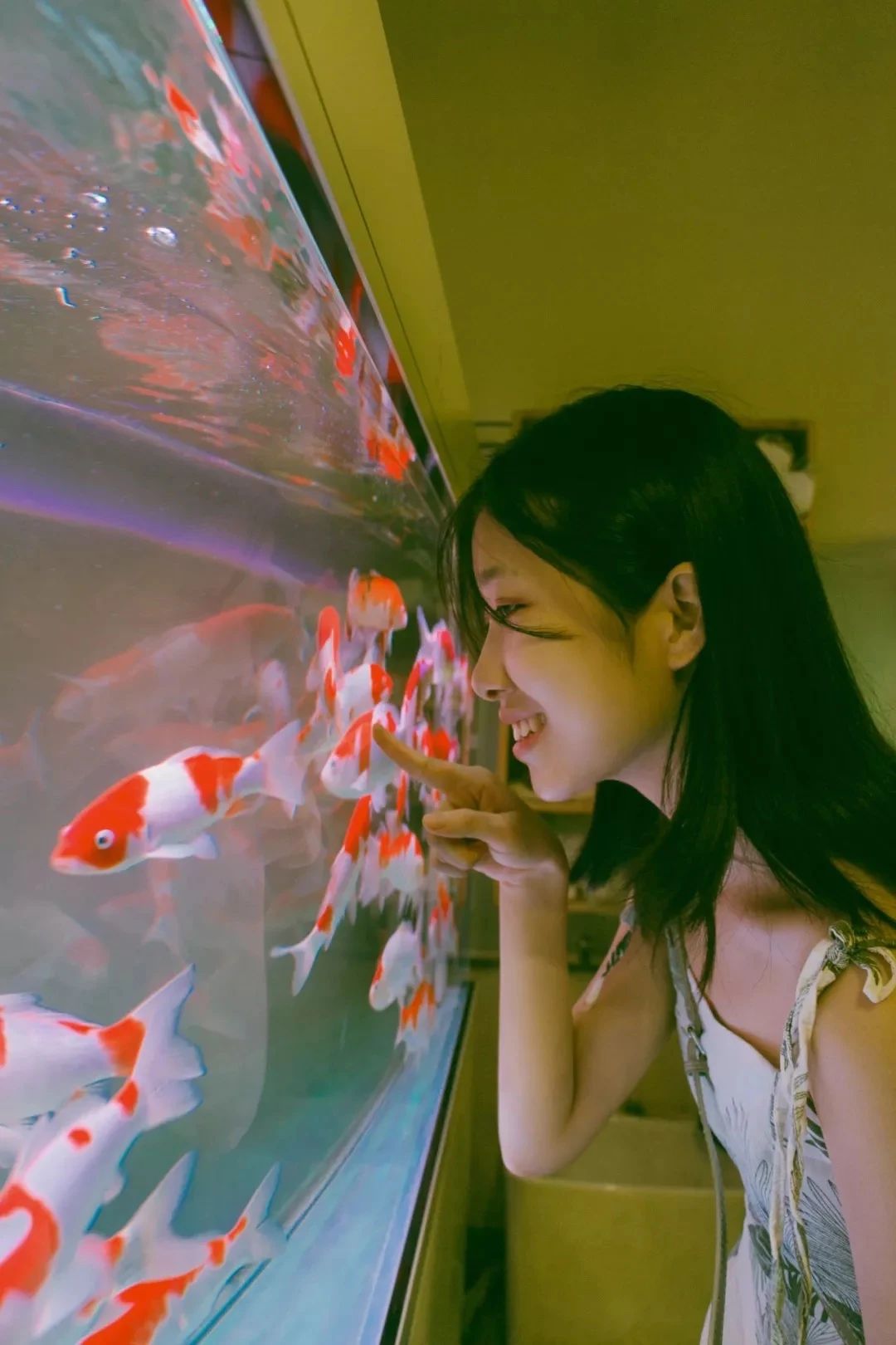 深圳旅游好去处推荐,深圳宝安区周末休闲浪漫好去处