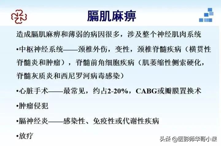 「精品课件」胸部膈肌的解剖及常见病变影像的表现