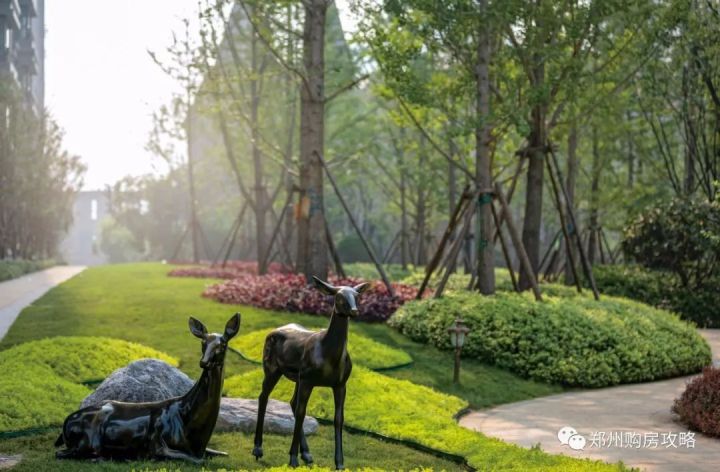 恒大城三期郑州学校,恒大城郑大实验小学