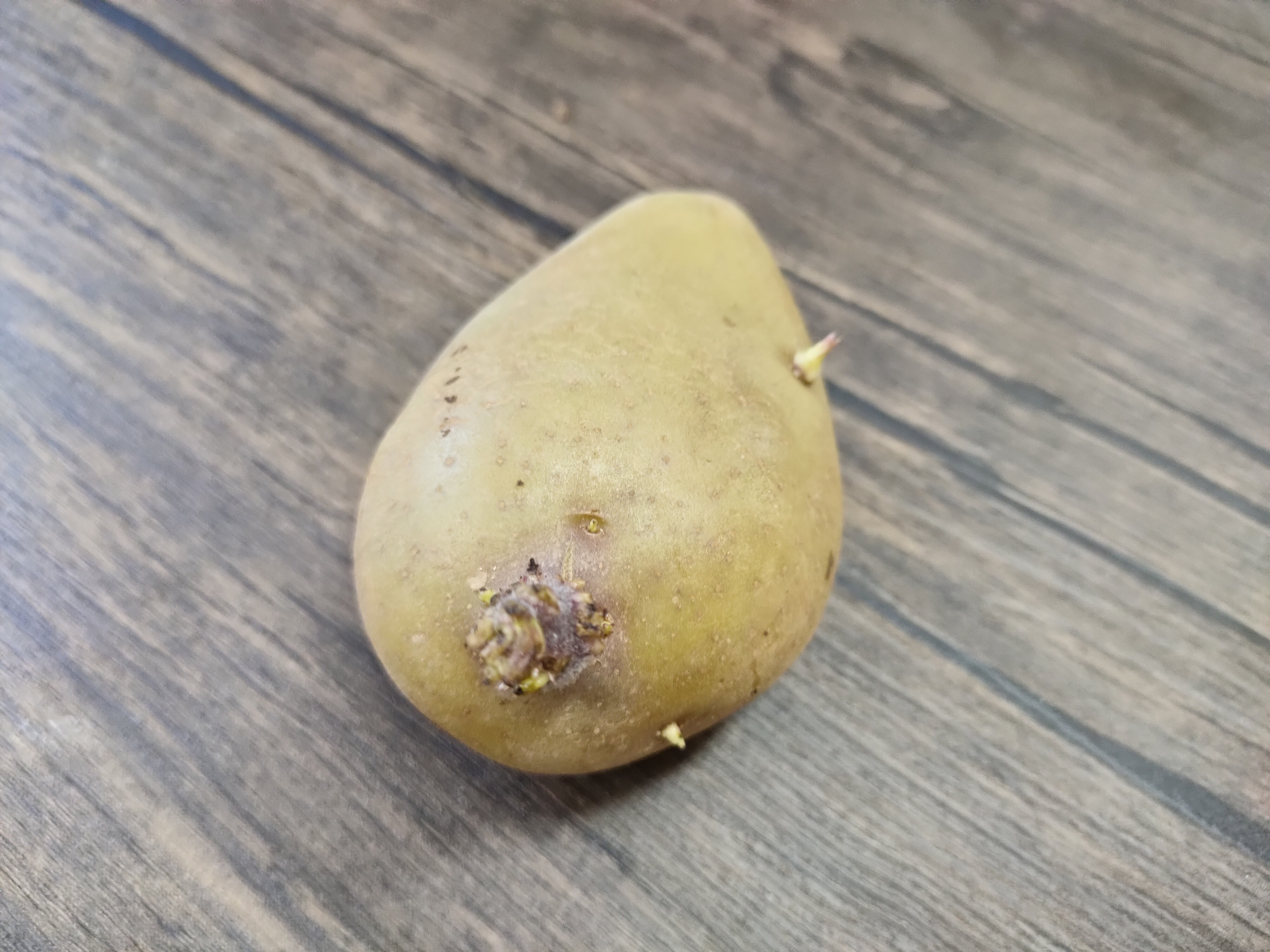 保存土豆怎样不发芽,保存土豆怎么保存不发芽