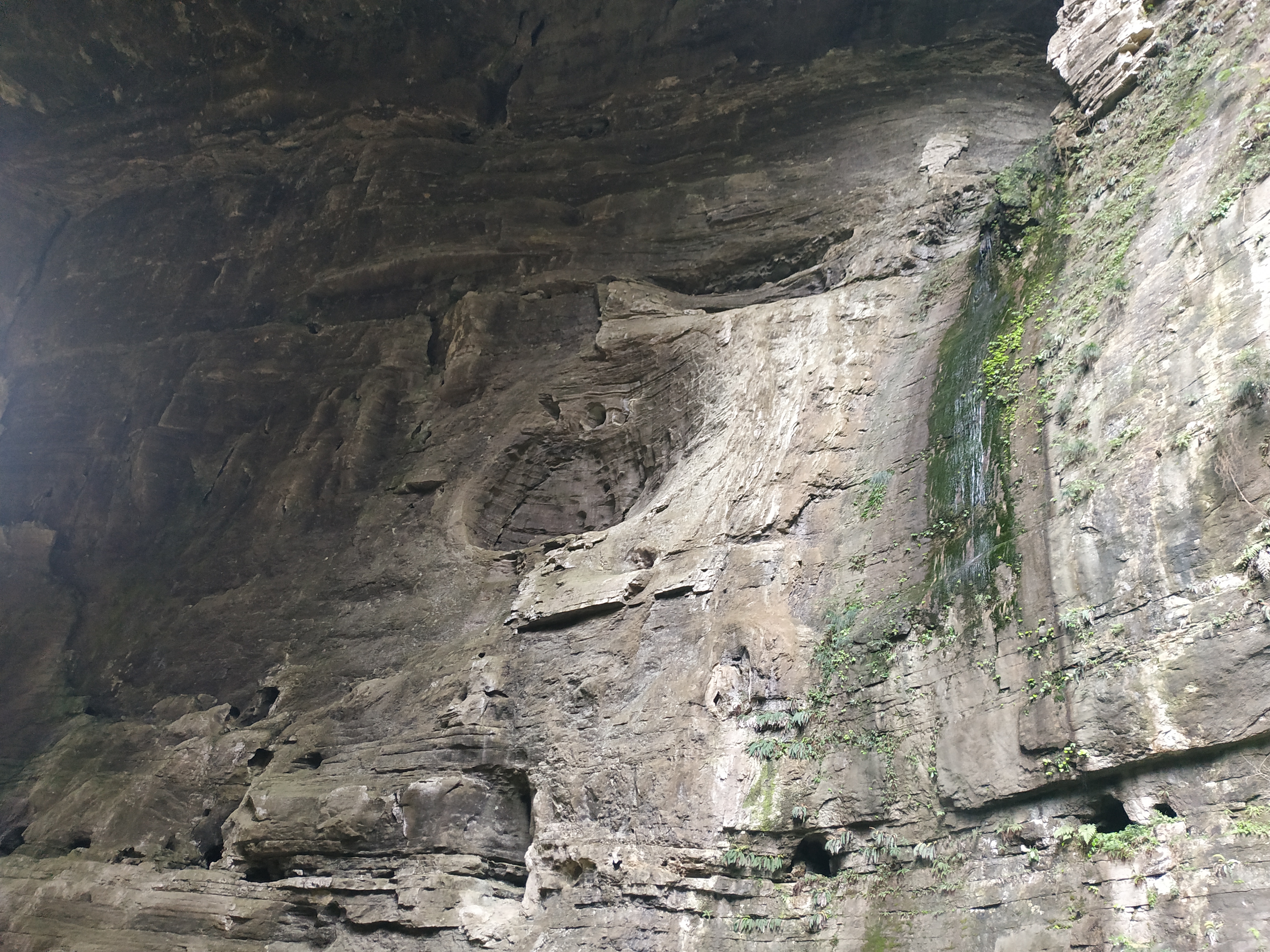 山城重庆的夜别样的美,重庆四天三夜