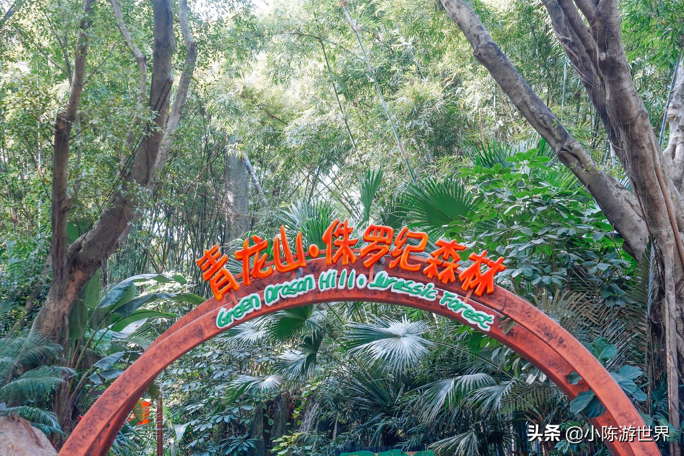 寒假广州长隆三天两夜亲子游攻略,带孩子广州长隆旅游攻略