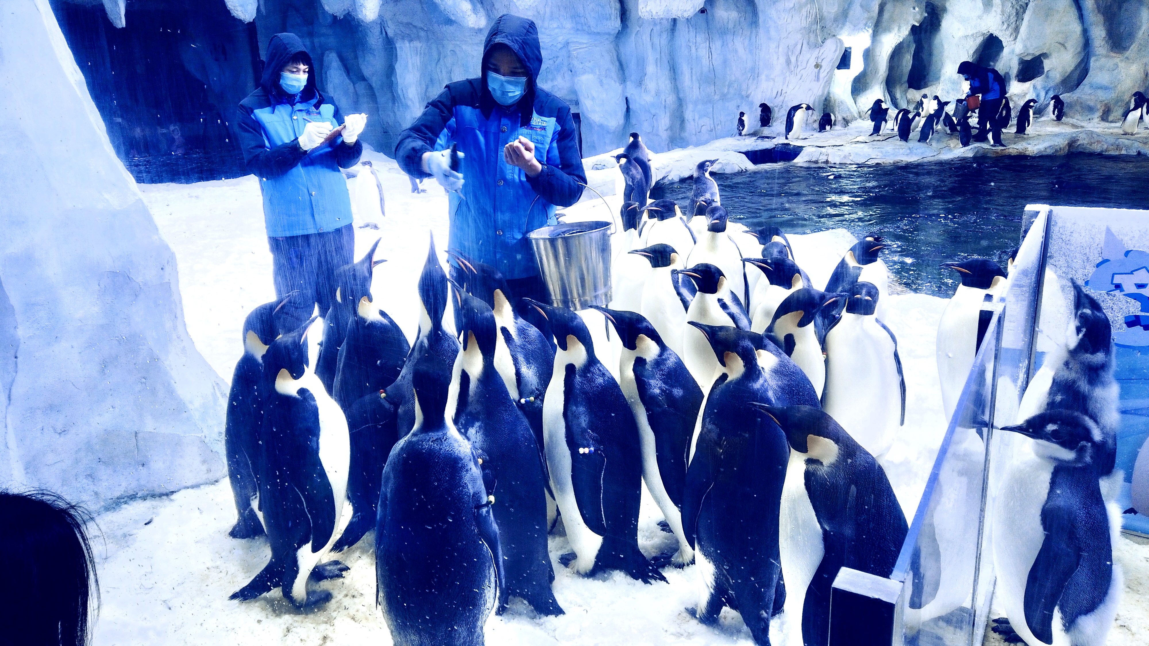 珠海长隆海洋王国吃住旅游攻略,最新珠海长隆海洋王国一日游攻略