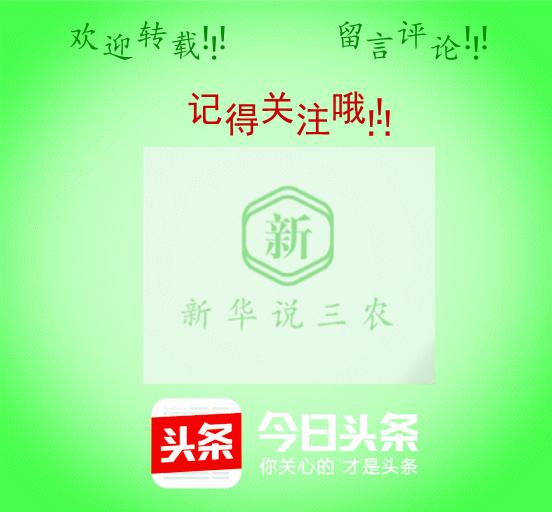 母猪产前不吃食最好的方法,母猪产前三四天不食怎么办