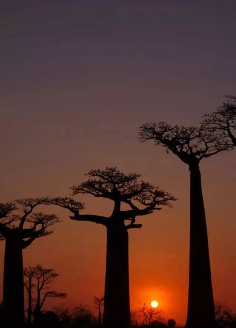 落地签免签去哪些国家旅游好,出国游排行榜前十名免签或落地签