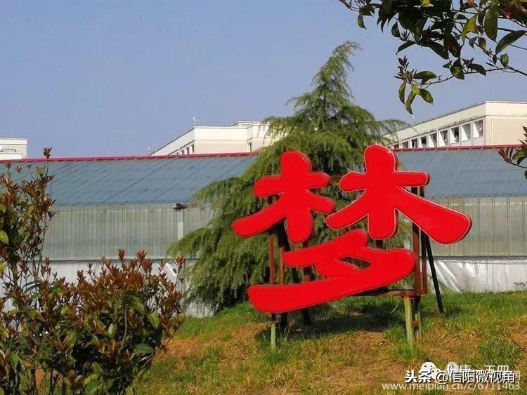 信阳154医院老兵发文追忆：永远的一五四（图）