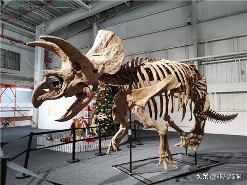 史前恐龙灭绝,恐龙时期恐龙是怎么灭绝的