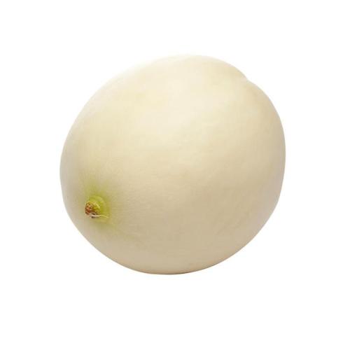 胎儿发育全过程标本,是否能看到胎儿的发育过程