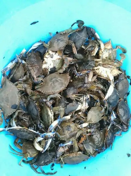 带你去赤道看海,赤道几内亚国家地图