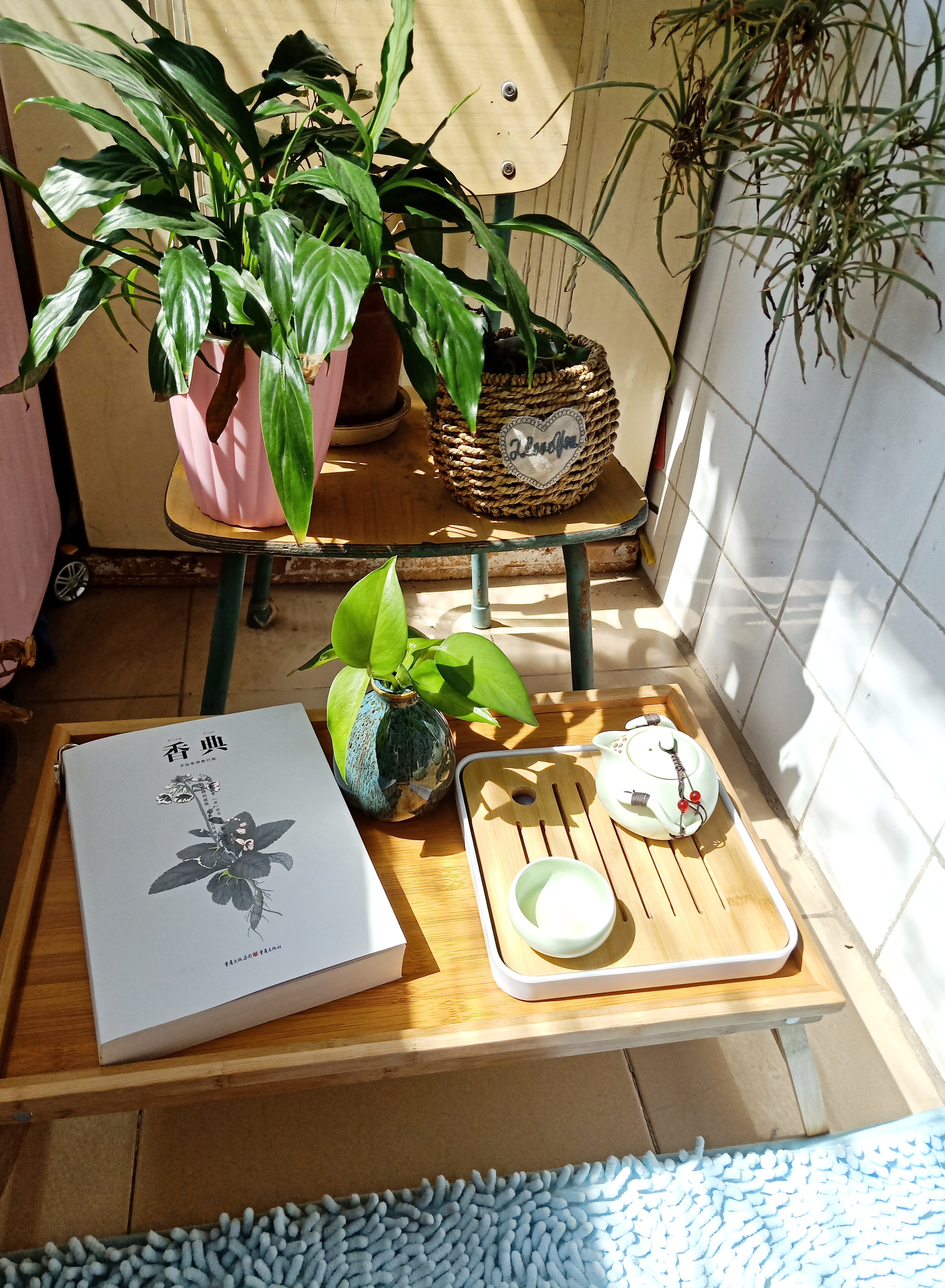 春日里阳台的一抹绿,春日里的中式院子