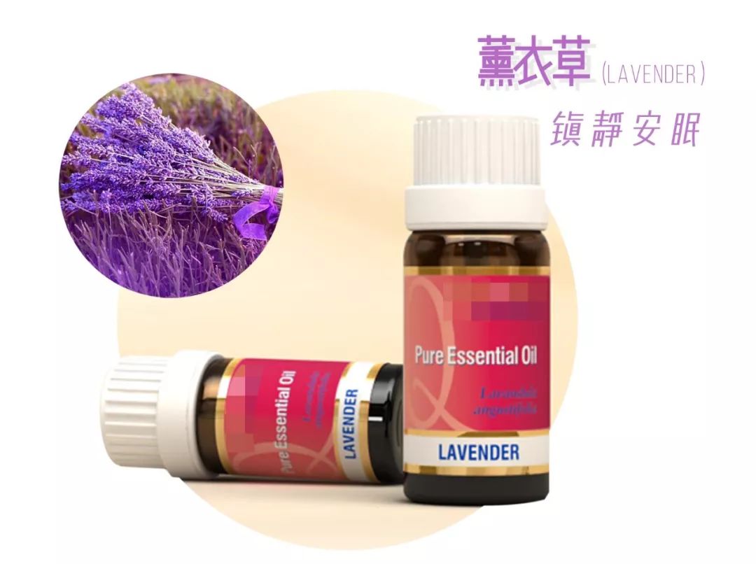 精油入门必备护肤品,平价单方精油推荐面部