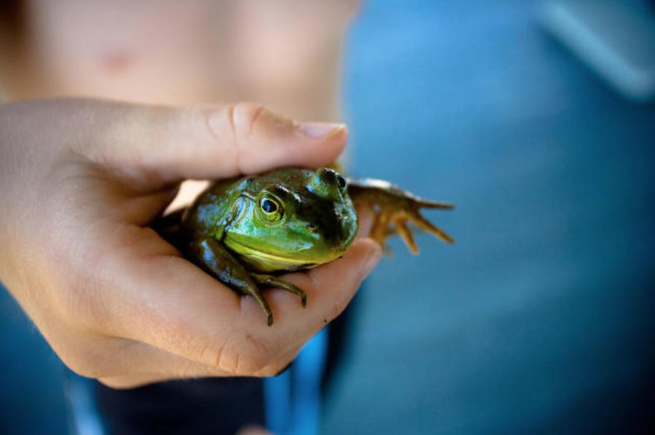 人的胃里那些意想不到的发现