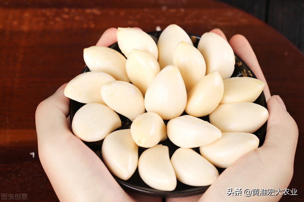 哪个国家大蒜最好,全球大蒜最多的地方是哪里