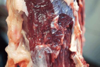 最纯潮汕牛肉丸 (纯手打正宗潮汕牛肉丸一口就飙汁)