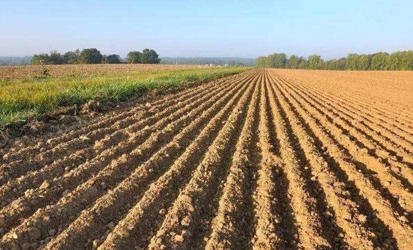 农村户口有土地4050社保补贴政策,农村户口没有土地能拿到补贴吗