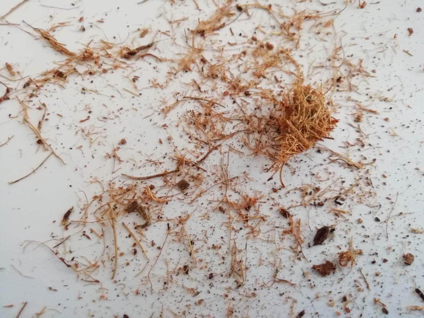 弹簧加棕垫好还是全棕床垫好,什么牌子的椰棕床垫好