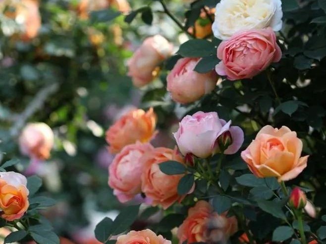 结婚7年老公越来越对我不好,结婚7年被老公宠坏了