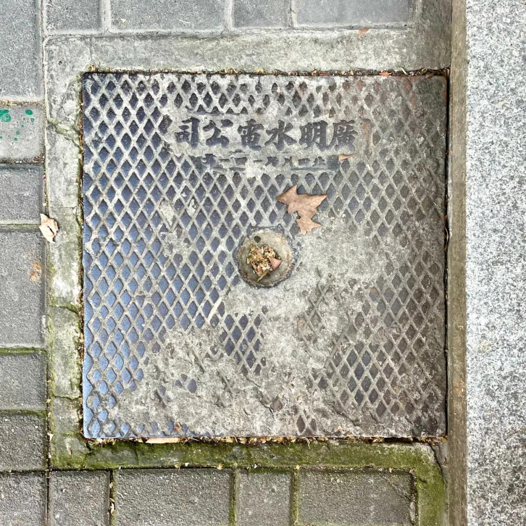 不要错过上海的春天,不要错过上海的夏天