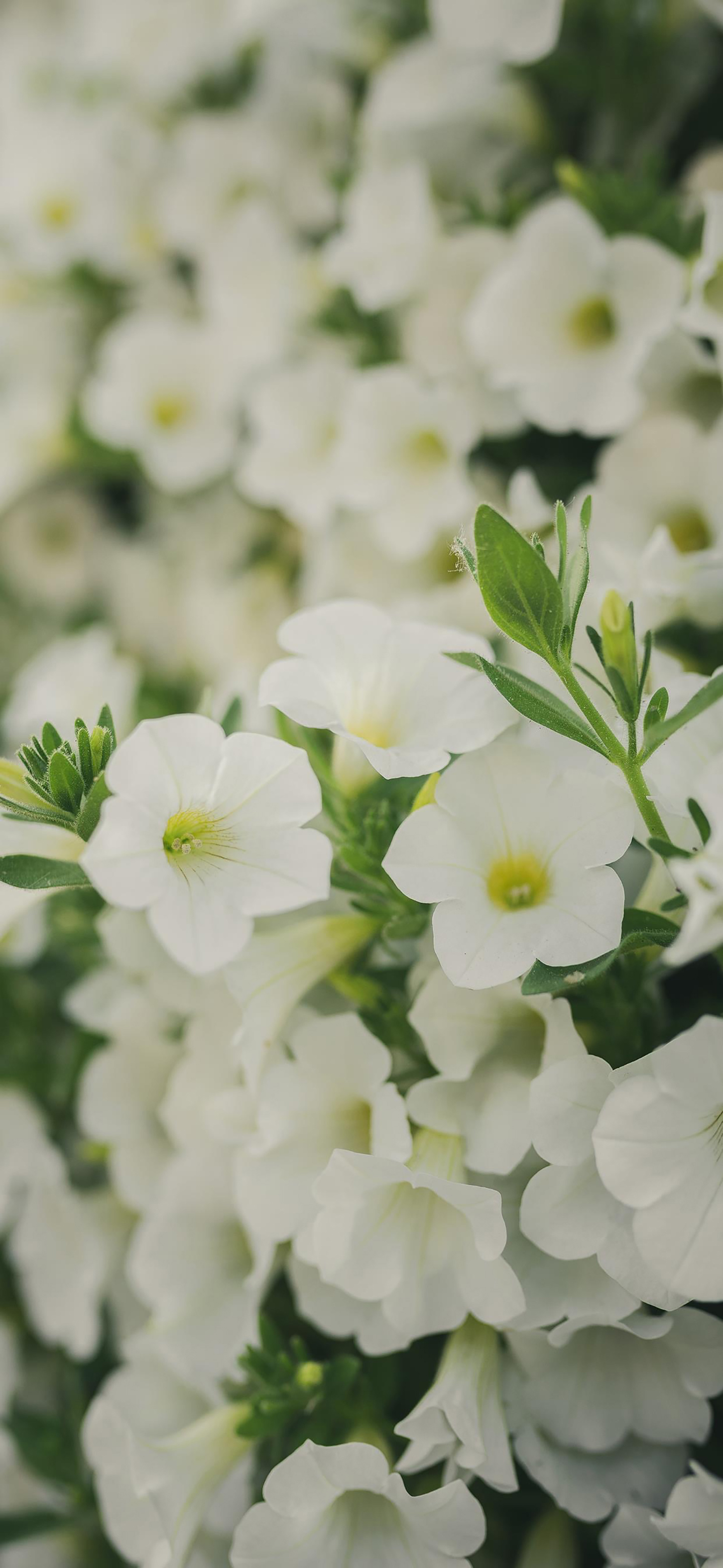 孤独失落伤感风景的高清壁纸,时光浓淡相宜的壁纸