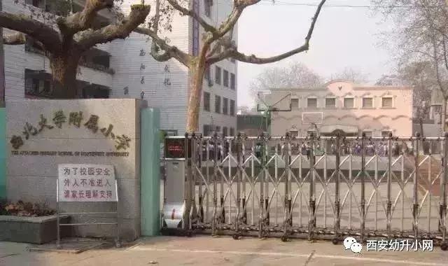 西安挤破头都想进的小学有哪些,南京家长挤破头想上的初中
