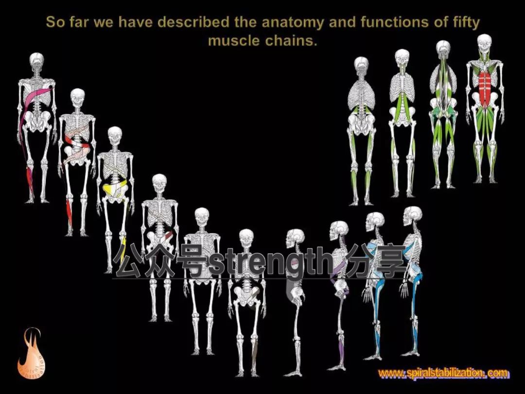 下背痛是什么原因引起的,背疼腰疼是什么病的前兆