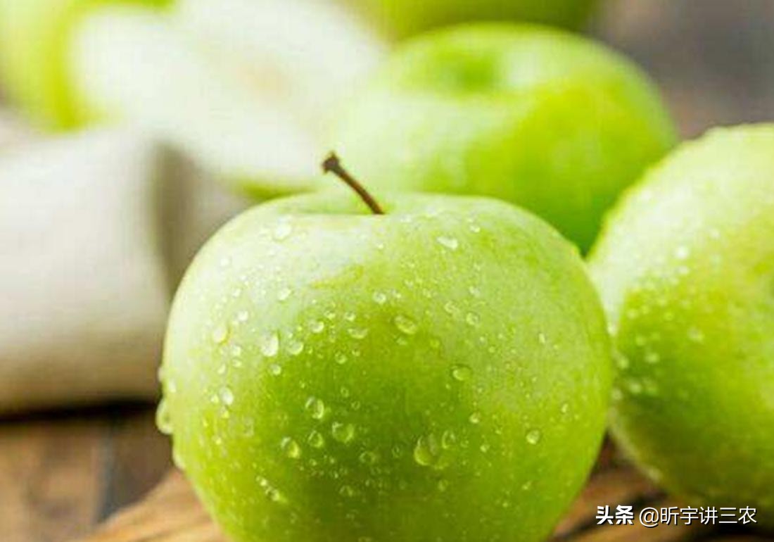 苹果树修剪一个人一天能修剪多少,大苹果树落叶修剪还是落叶前修剪