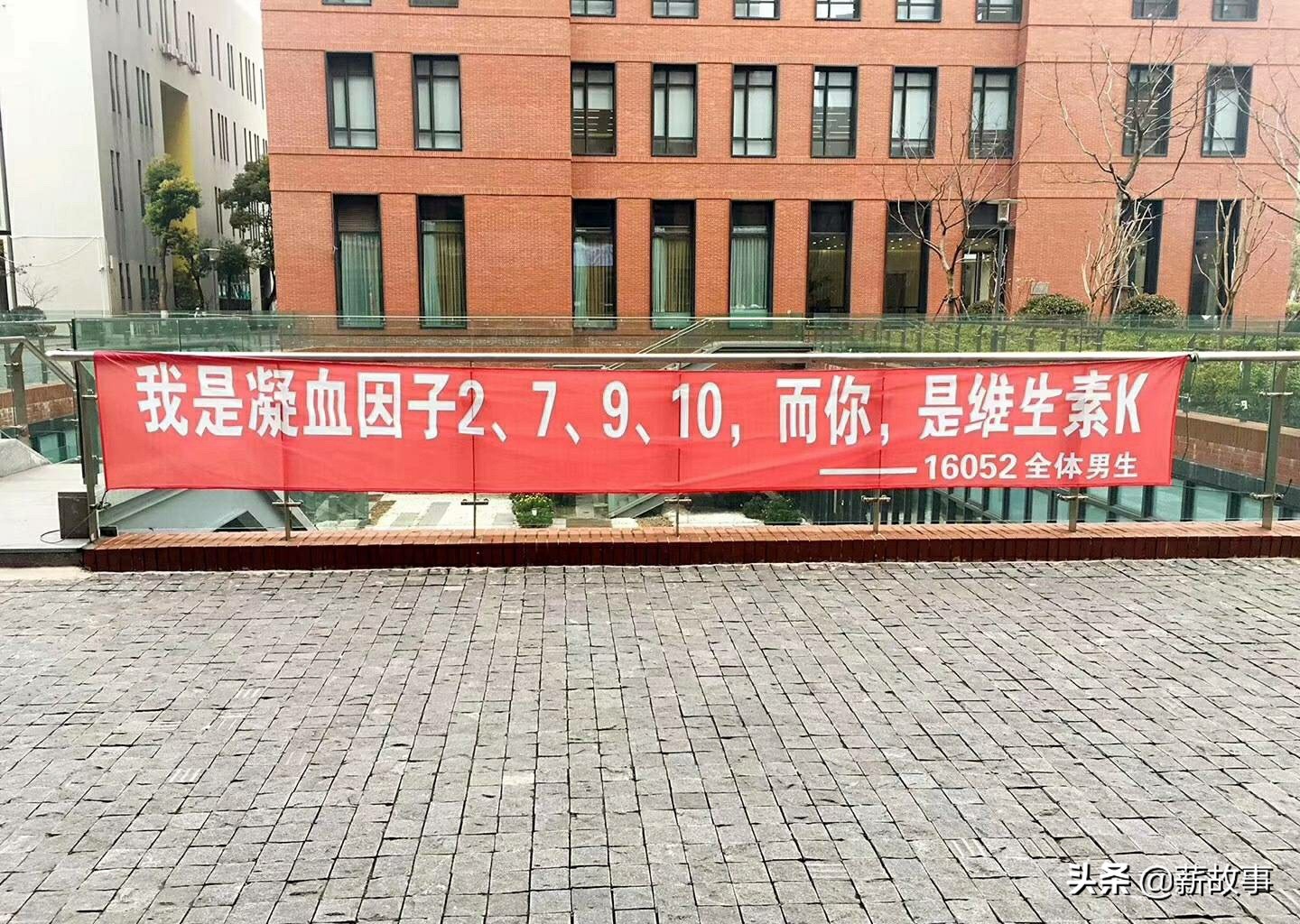 高校硬核开幕,高校硬核开幕式天地会