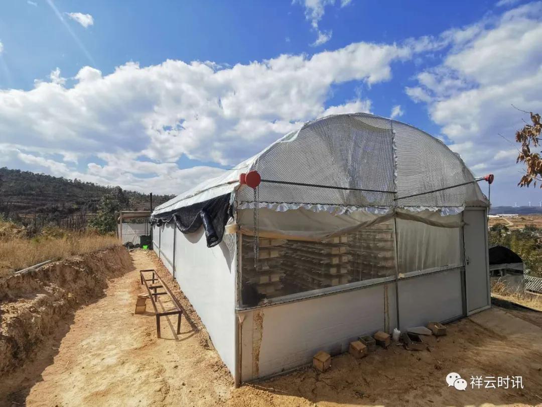 筑巢引凤吸引农民工返乡就业创业,大理州春节务工返乡