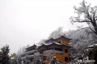 智神张闲逸,文言版第二十集：相爷蹲茅坑混混背驮人