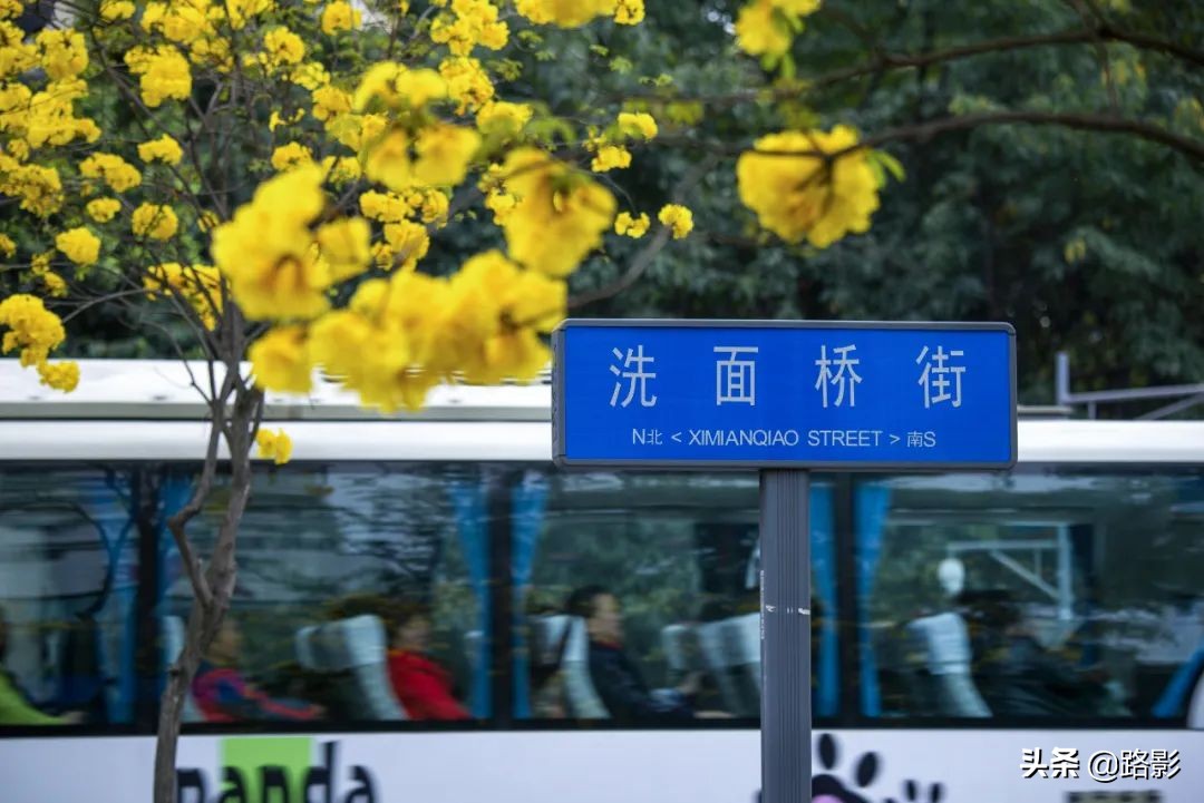 花重锦官城,花重锦官城长安