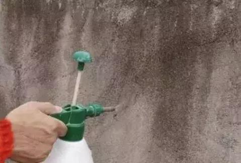 腻子层起泡了,房子顶上粘上腻子起泡是什么原因