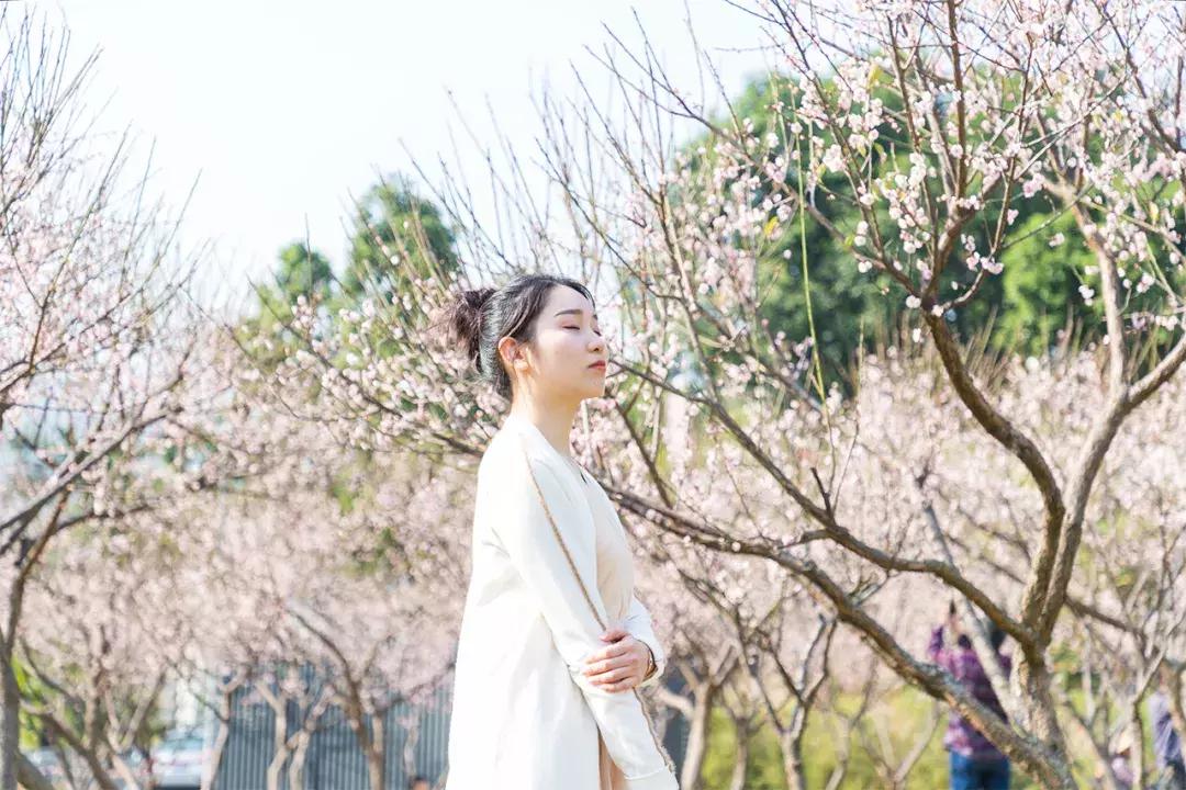 深圳隐秘风景,深圳粉色花海视频