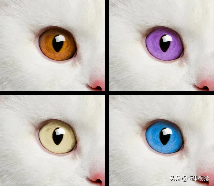 ps怎么把两只眼睛p成一样颜色,ps改图及抠图换背景颜色教程