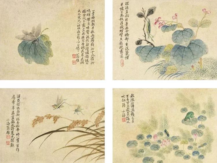 清代花鸟鱼虫画,清代国画名家花鸟鱼虫