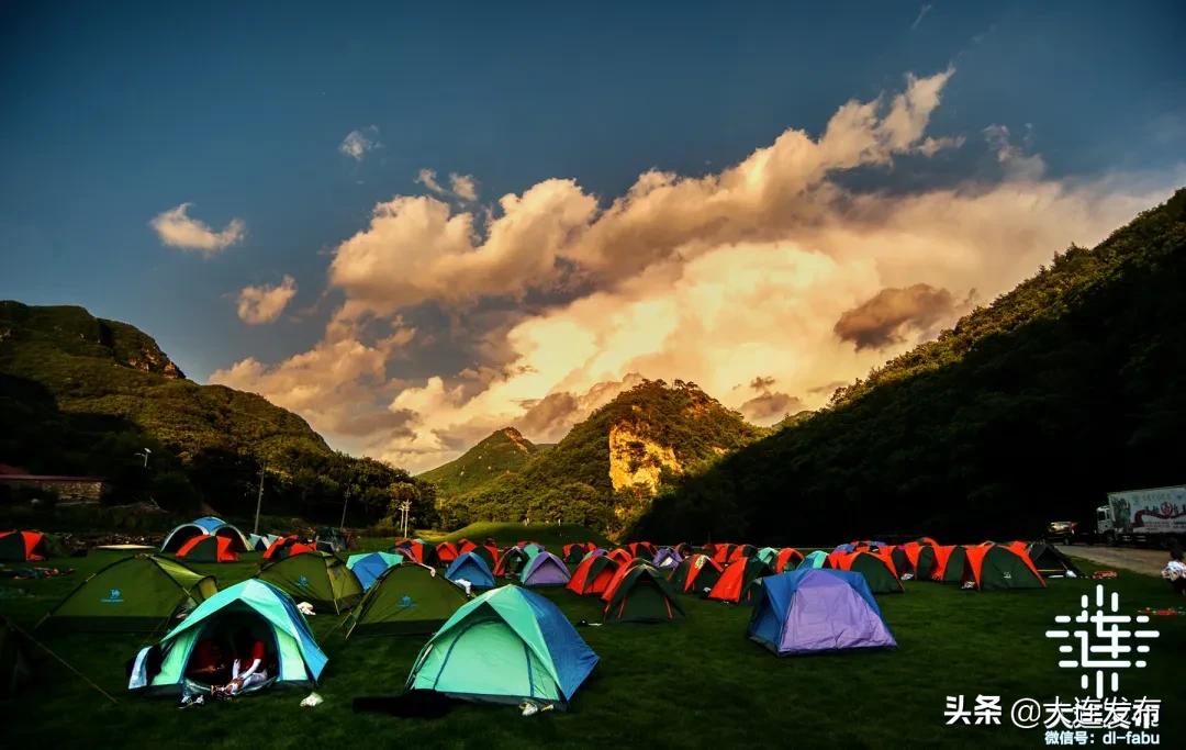 大连最美赏槐露营地,槐之乡露营地