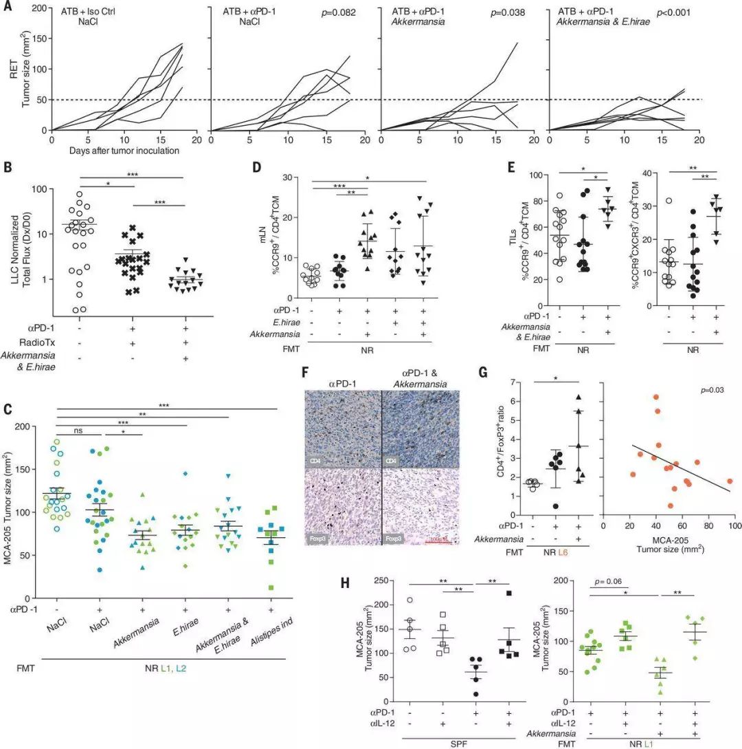 利用宿主分泌的粘蛋白“为食”的Akk菌