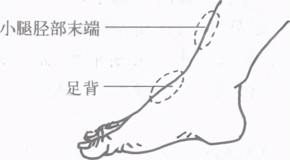 中国擒拿术擒拿十八法全教程,擒拿术基本功训练