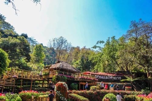 自助模式怎么开启,怎么自助开通国际漫游