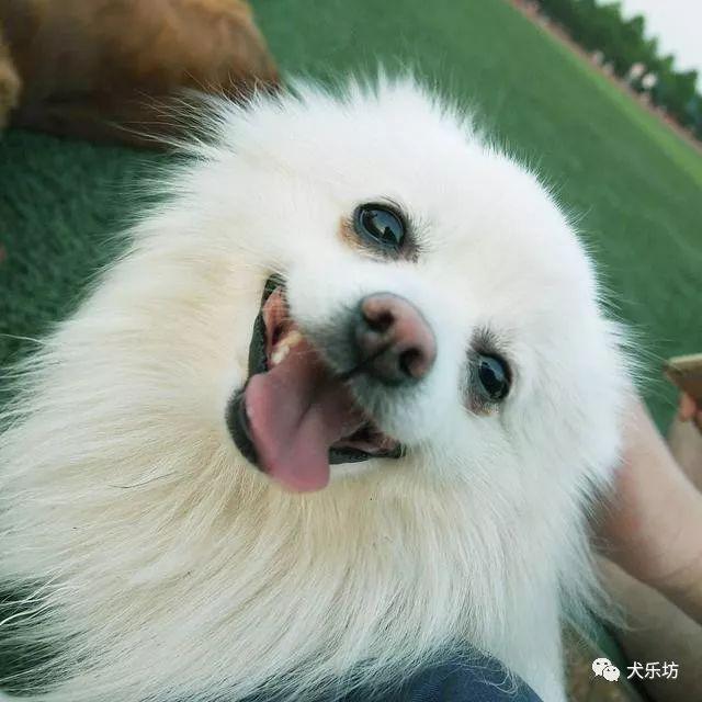 鑲嗘剰涔愭椿,鑲嗘剰涔愭椿灞变笢