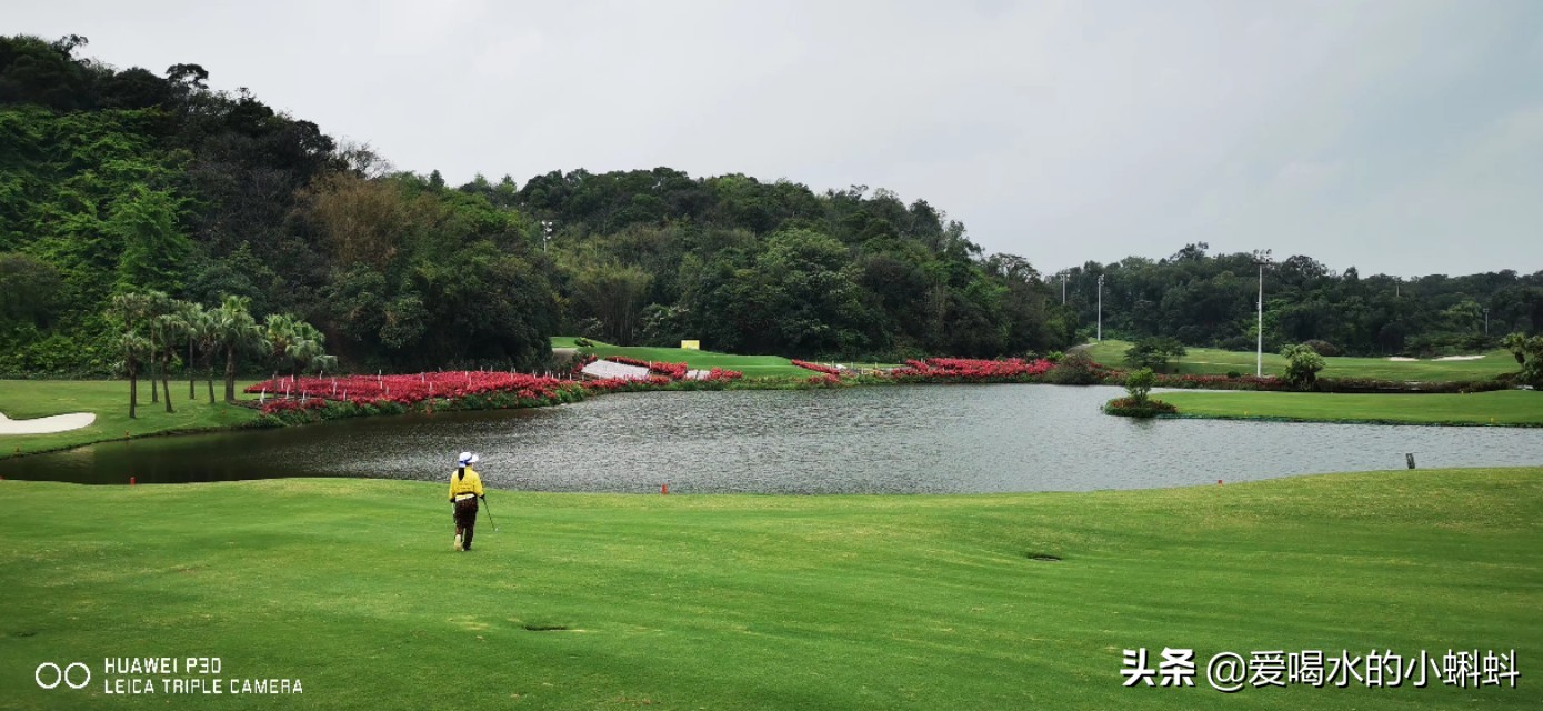 三分钟看懂高尔夫规则的视频,三分钟看懂高尔夫规则室内
