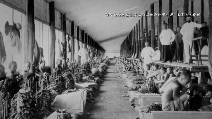 从猪仔打到凤凰游戏,从猪仔升级到主管